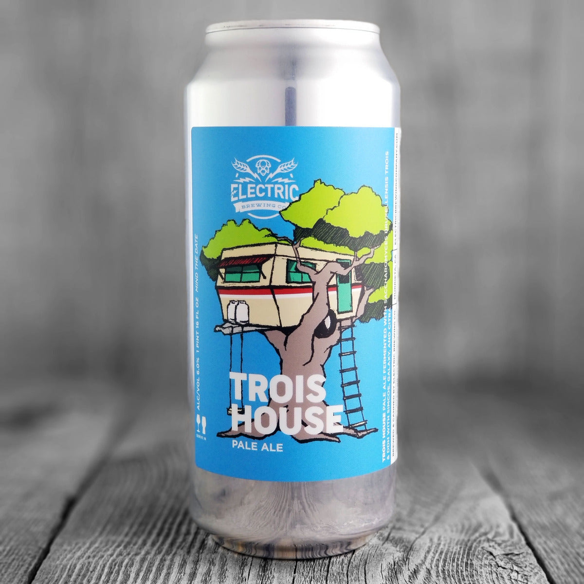 Electric Trois House