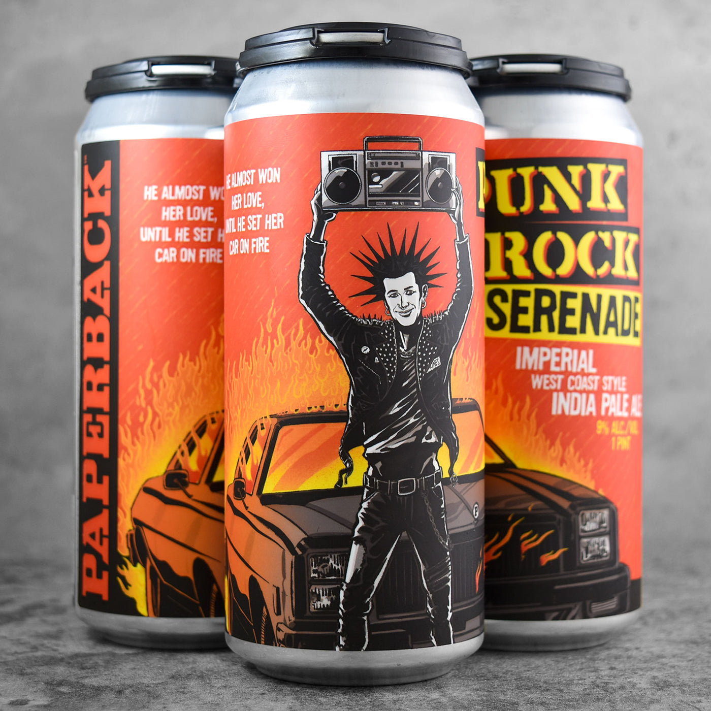 Paperback Punk Rock Serenade