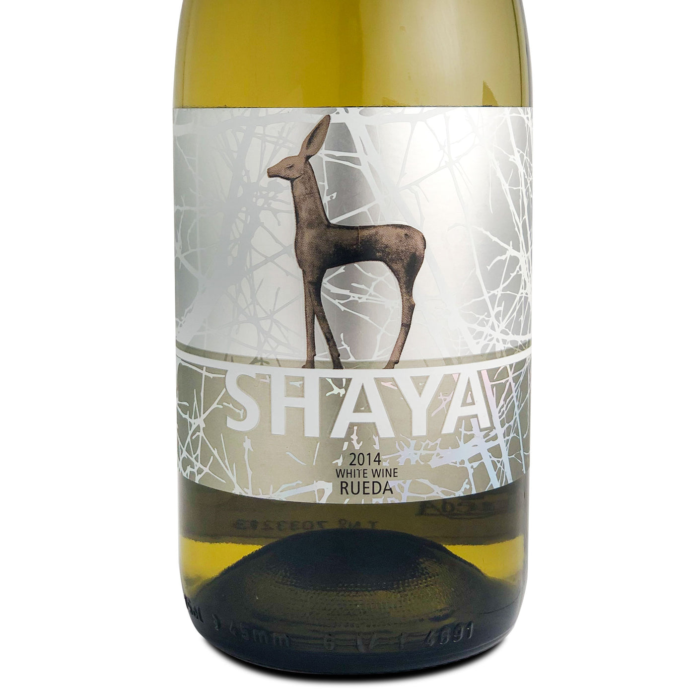 Shaya Verdejo 2014