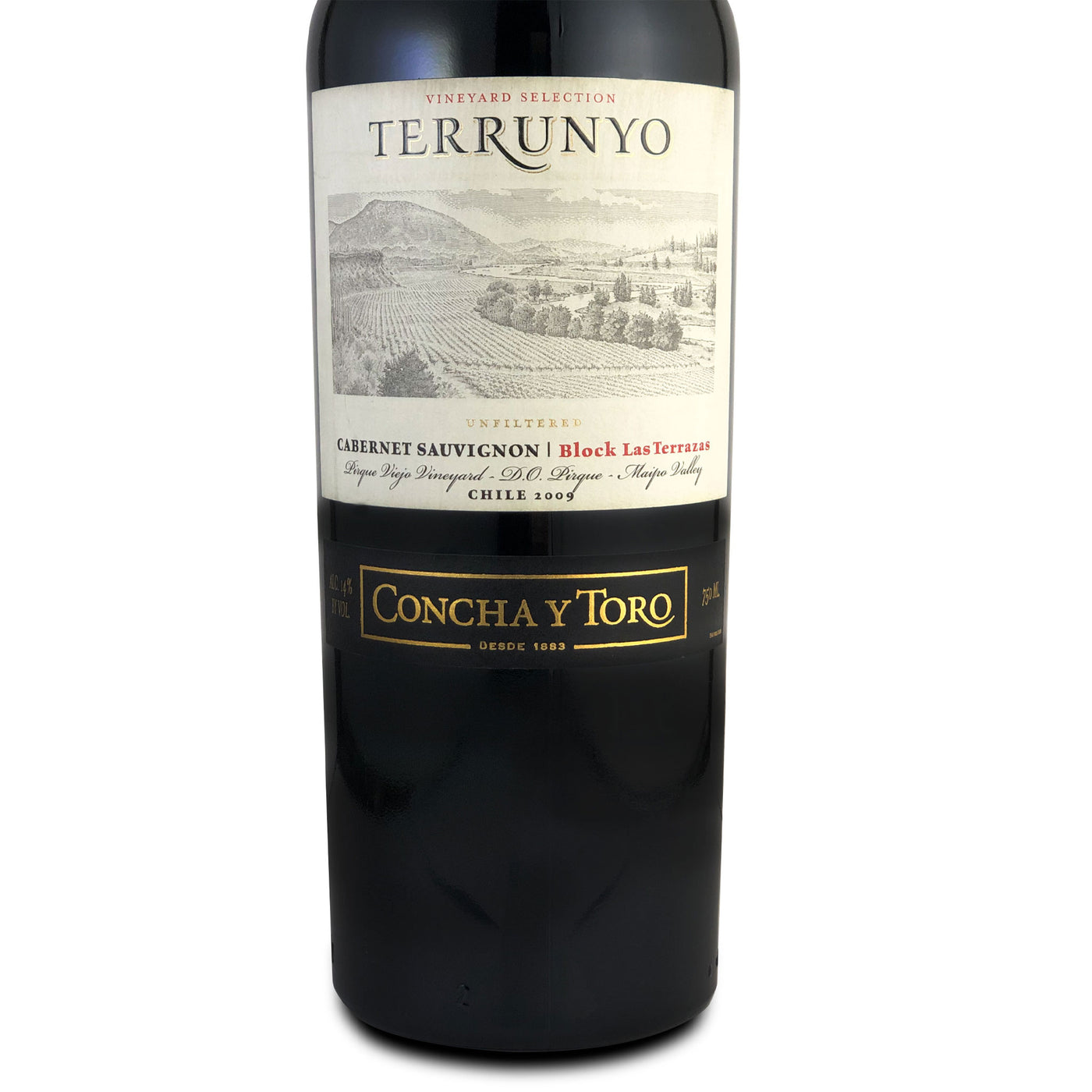 Concha y Toro 2009 Terrunyo Vineyard Selection Block Las Terrazas Unfiltered Cabernet Sauvignon